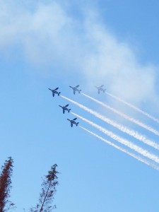20161126-02