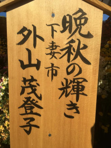 20171120.12